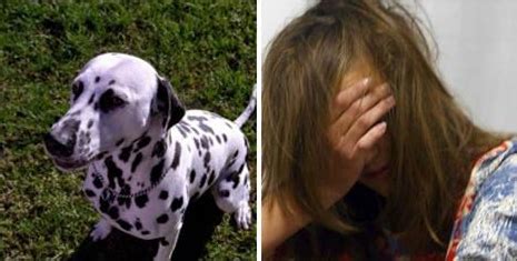 donna che fa sesso con cane|'scopa con il cane italiana' Search .